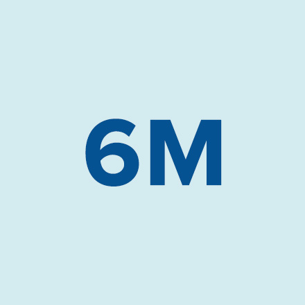 6 Million Icon